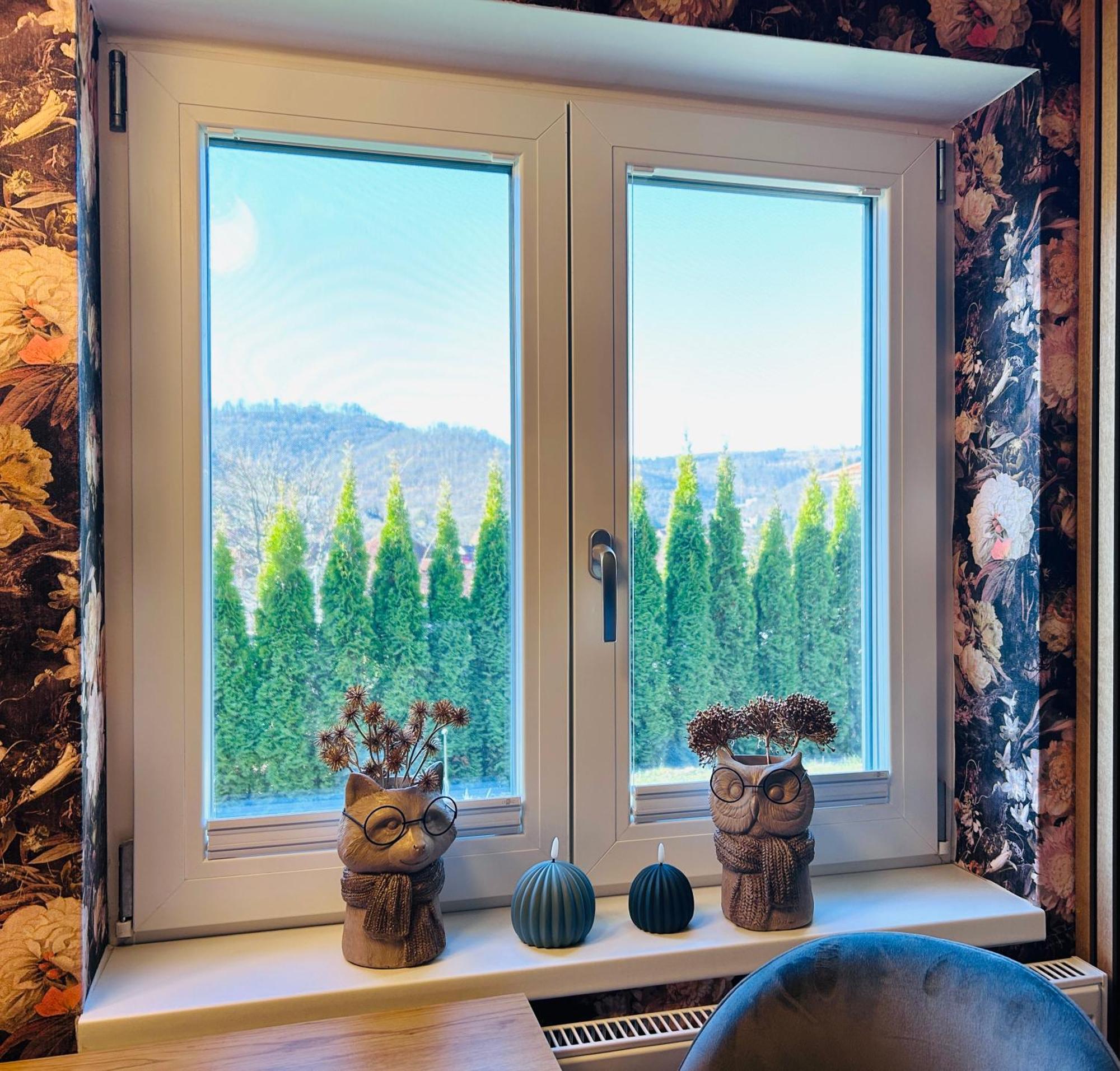 Wohnung Goethe'S Bergblick Bad Harzburg Extérieur photo
